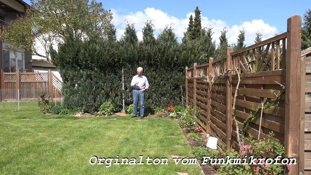 Test, Nikon ME- W1 Funkmikrofon für Videokameras vom Media Markt, von tubehorst1 смотреть онлайн