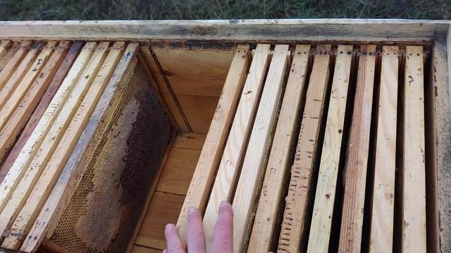 УЛЕЙ ЛЕЖАК как с ним работать пчеловодство для начинающего ??✅ смотреть онлайн