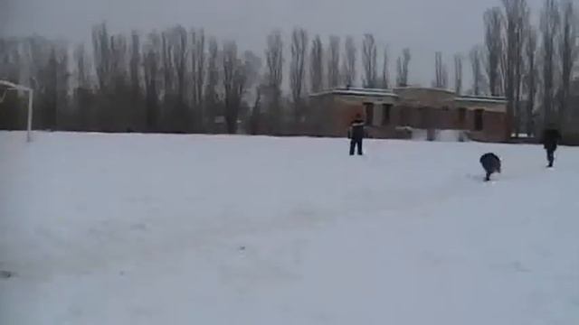 Дрессировка собак на нарукав http://www.kinologiyasaratov.ru смотреть онлайн