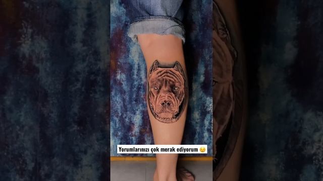 Pitbull Tattoo • #shorts #tattoo смотреть онлайн