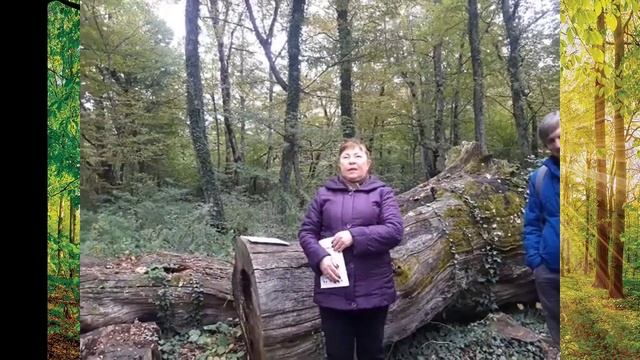 Литературная гостиная в лесу. смотреть онлайн