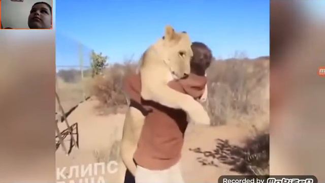 Смешное видео про животных!Смотреть до конца! смотреть онлайн