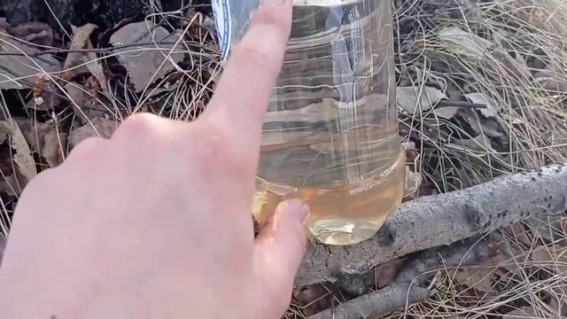 Сбор БЕРЁЗОВОГО СОКА в СИБИРИ! Весна в Сибири 2023! смотреть онлайн