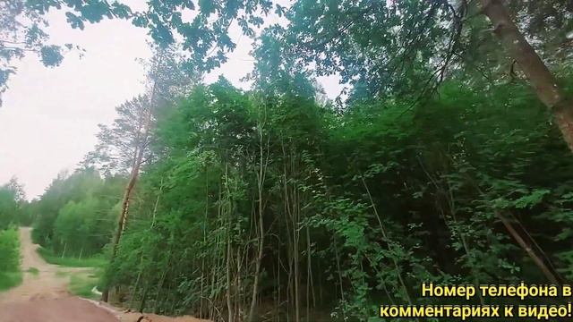 Продам участок ДНП в СПБ, Воейково, д. Коркино. смотреть онлайн