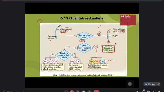 FORM 4 - CHEMISTRY - CHAPTER 6.11 - QUALITATIVE ANALYSIS (PART 3) смотреть онлайн