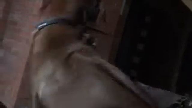 Царь горы смотреть онлайн