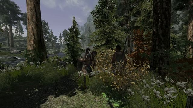 Texture Pack Combiner mod for Skyrim - slideshow смотреть онлайн