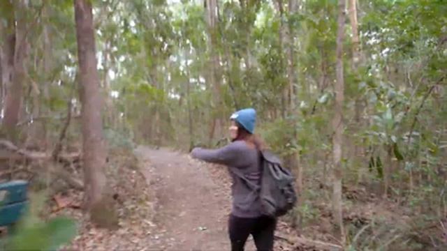 Manorina, D'Aguilar National Park смотреть онлайн