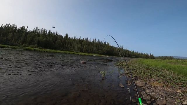 Рыбалка на горной реке! Супер клев огромного хариуса! Часть 2 смотреть онлайн