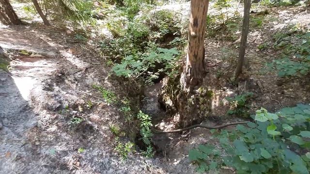 Пустынь, городской округ Арзамас смотреть онлайн