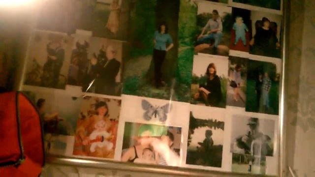 Самая простая подсветка для орхидей _ часть 1 смотреть онлайн