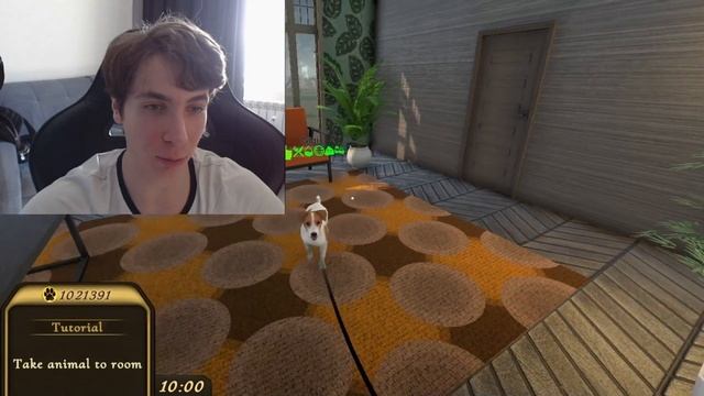 ? Уход за Домашними Животными ? ► Pets Hotel: Prologue