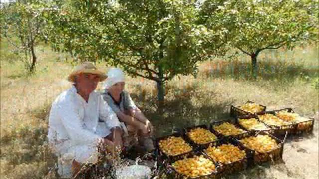 Без названия смотреть онлайн