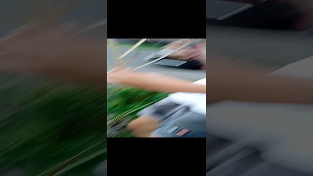 серия одноразка_пластик смотреть онлайн