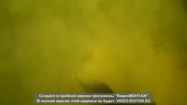 Nokta Makro Simplex +/XP-MI-4/Система Хука/Проверка оборудования 08 06 2022 смотреть онлайн