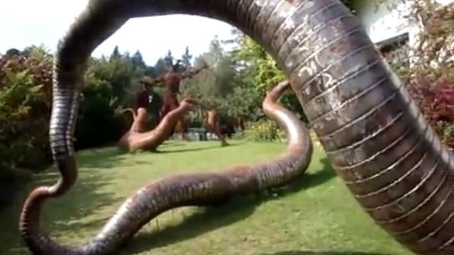 Самый большой в мире червяк !!! смотреть онлайн