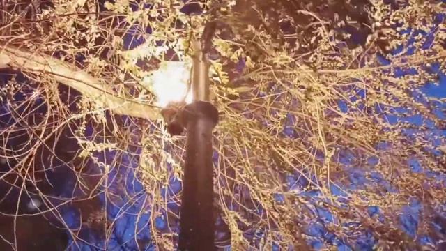 Николай Гумилёв. "Она колдует......" смотреть онлайн