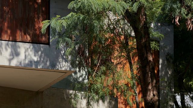 Architectural Design Element House With Environmental Harmony Concept | Modern Interior Design 2024