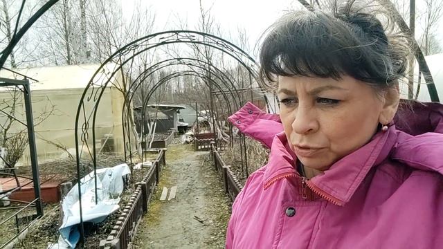Весенние хлопоты. Раскрываю розы. Обрезка сада. Жизнь семьи в деревне. смотреть онлайн