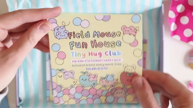 Mystery Art Box!! // SUGAR & SLOTH // Tiny Hug Club Subscription смотреть онлайн