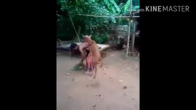 ЧУДЕСА АЛЛАХА СМОТРИТЕ смотреть онлайн