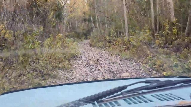 В глушь на НИВЕ. Тур по старым финским хуторам с металлоискателем. смотреть онлайн