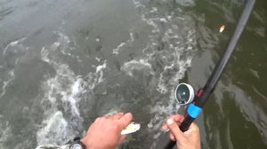 Ловля хариуса / Жареная рыба / Река Базаиха / Рыбалка 2018