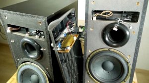 Look inside Pioneer S-W110S budget subwoofer - What's Inside?