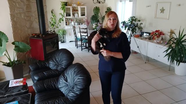 Рестораны скоро откроются. Пропала девочка 8 лет. смотреть онлайн