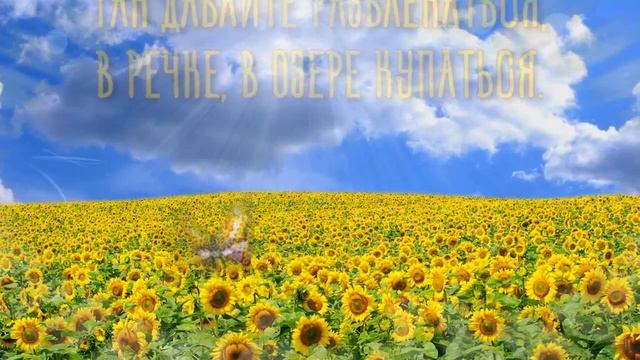 ? ЛЕТО 2018. Поздравляю с началом Лета ?. Красивое Видео Поздравление для Друзей на первый день лет смотреть онлайн