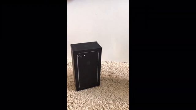Gopro Hero 8 Black Vs Iphone 7 Camera Test