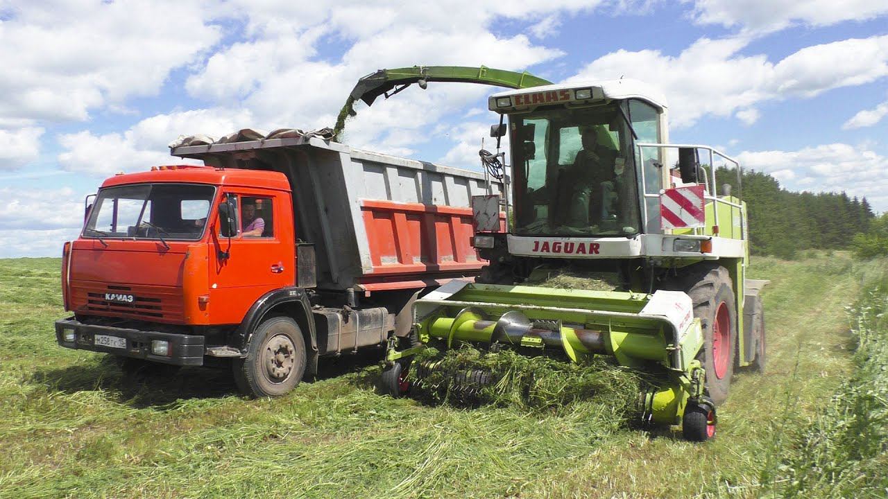 Заготовка сенажа CLAAS JAGUAR 860 смотреть онлайн