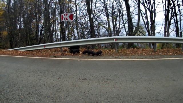 Лаго-Наки горы Адыгеи . Высота во всех смыслах. Дневной поход по горным красотам. Очень круто смотреть онлайн