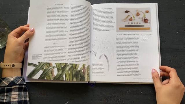 ?‼️Читать обязательно! Книга Энн Свон «Ботаническая иллюстрация цветными карандашами» смотреть онлайн