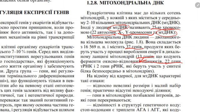 Введення в медичну генетику:ДНК,РНК,гени, хромосоми,генетичний код, генетичні карти спадкові хвороб смотреть онлайн