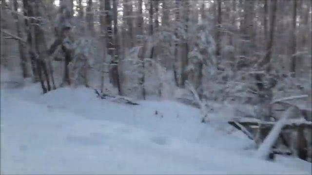 Сафари на снегоходах смотреть онлайн