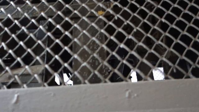 Лифт КМЗ 1987 г. @ Ул. Б. Серпуховская, 31 к. 4