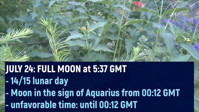 JULY LUNAR Calendar 2021: moon phases, auspicious days, haircut смотреть онлайн