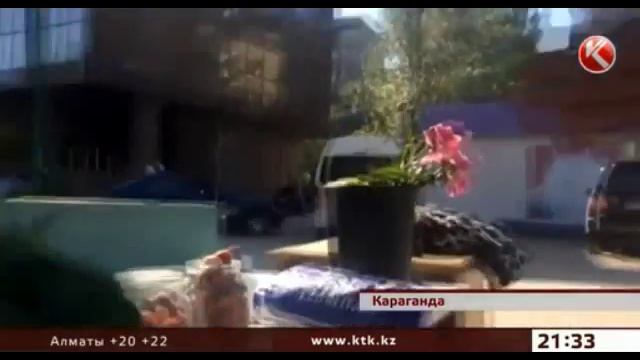 В Караганде выясняют, с каких пор на дачах растут бананы смотреть онлайн