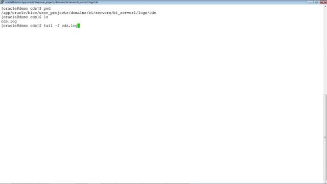 OBIEE 12c - Essbase BI Accelerator Web Based UI Demo смотреть онлайн