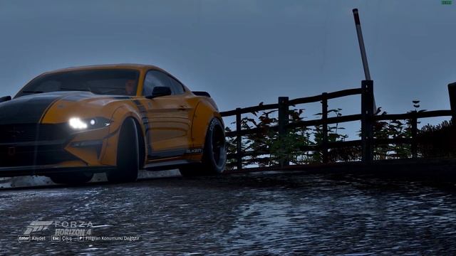 Ford Mustang foto (Forza Horizon 4) смотреть онлайн