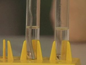 Химия. Опыты. Неорганика. Окислительные свойства азотной кислоты