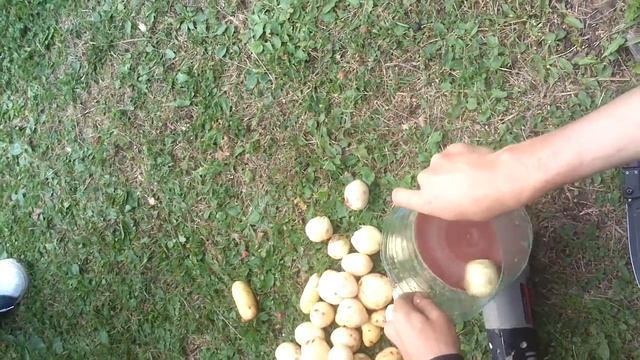 Вот как нужно чистить картофель!=))) смотреть онлайн