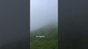 Нельзя разбудить того, кто претворяемся спящим