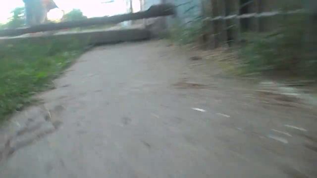 |Белая кошка ищет хозяйку|Моё певрое видео| смотреть онлайн