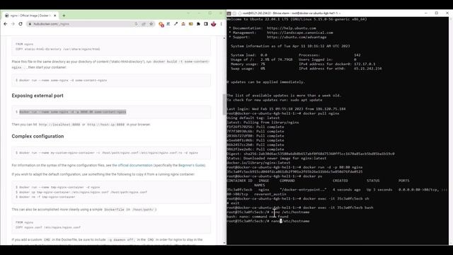 Como ingresar a nuestro docker con root y cambiar el hostname смотреть онлайн