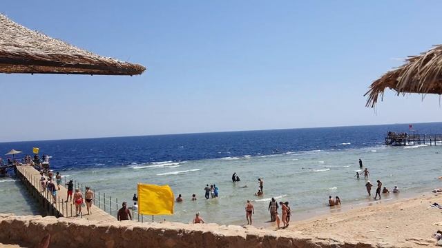 #palma_beach пляж отеля #sharming_inn \ еду вечером за ужином в старый город смотреть онлайн
