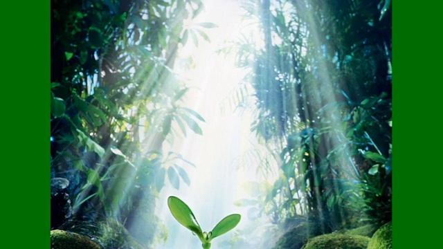 наше здоровье7 смотреть онлайн