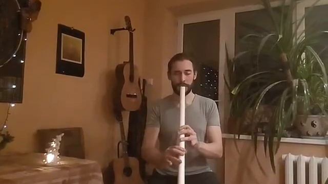 В лесу родилась ёлочка. Сякухати смотреть онлайн