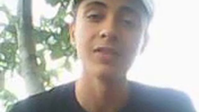 "в мире животных" курицы и петухи #1 смотреть онлайн